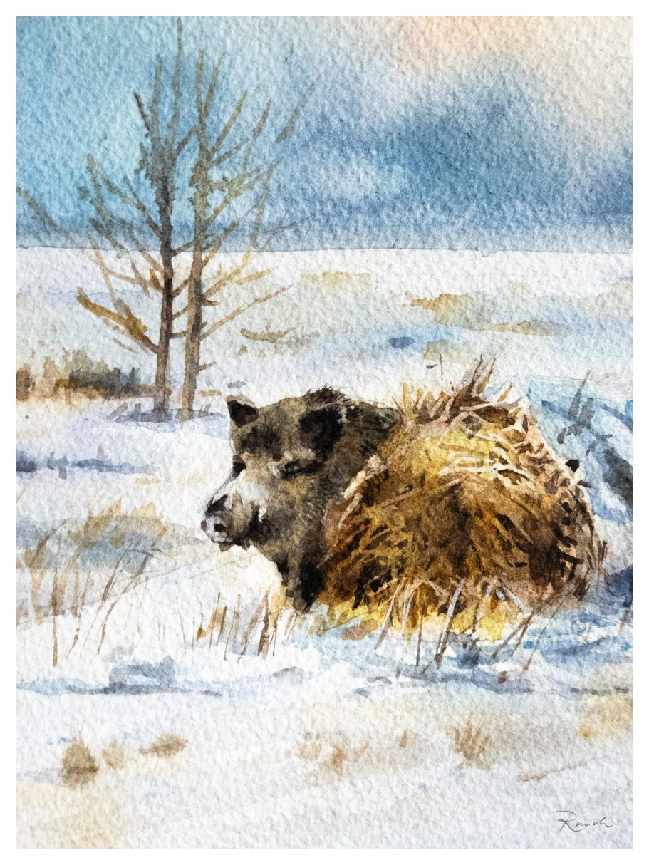 Aquarell 31x21cm