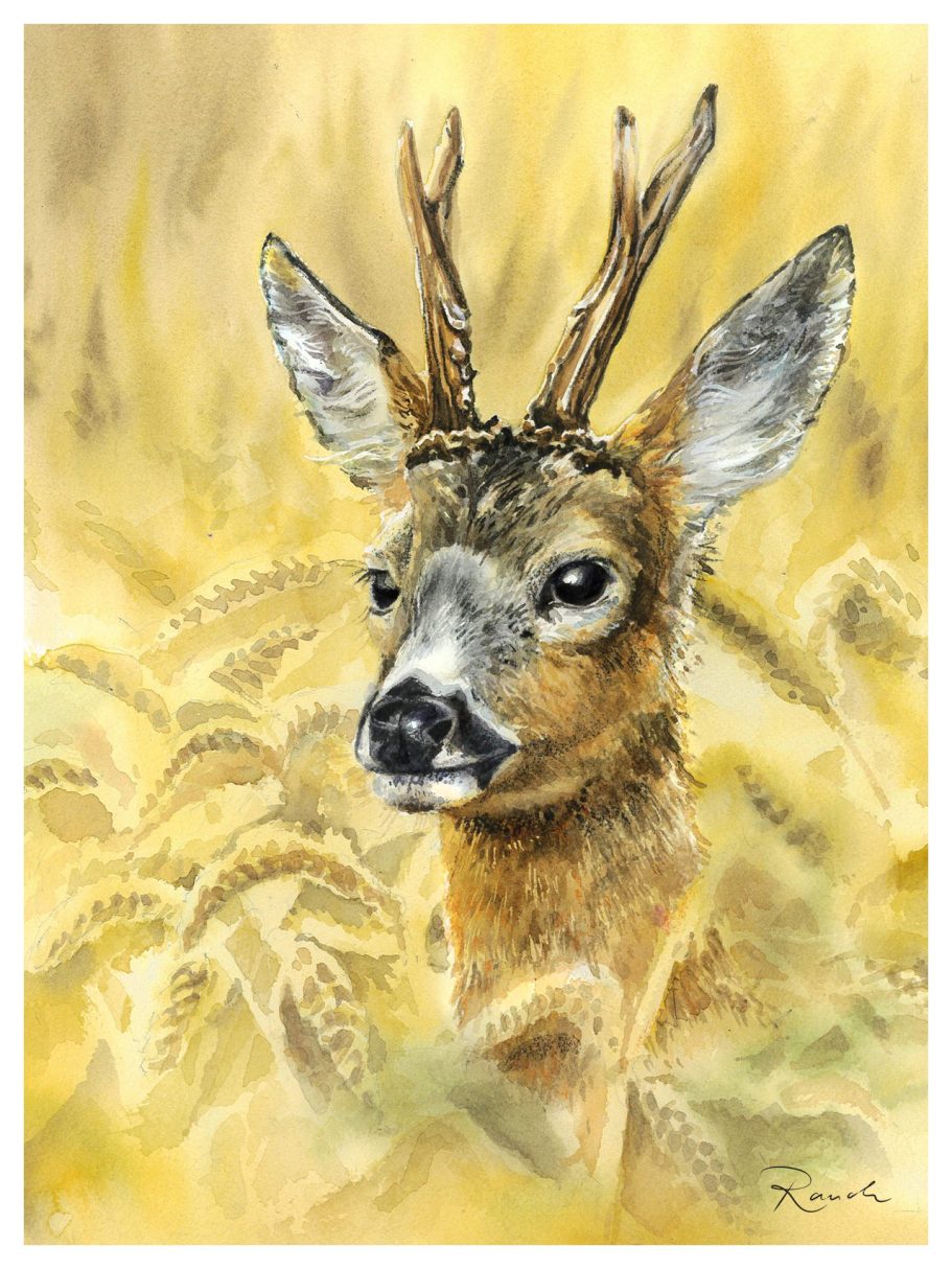 Aquarell 31x41cm