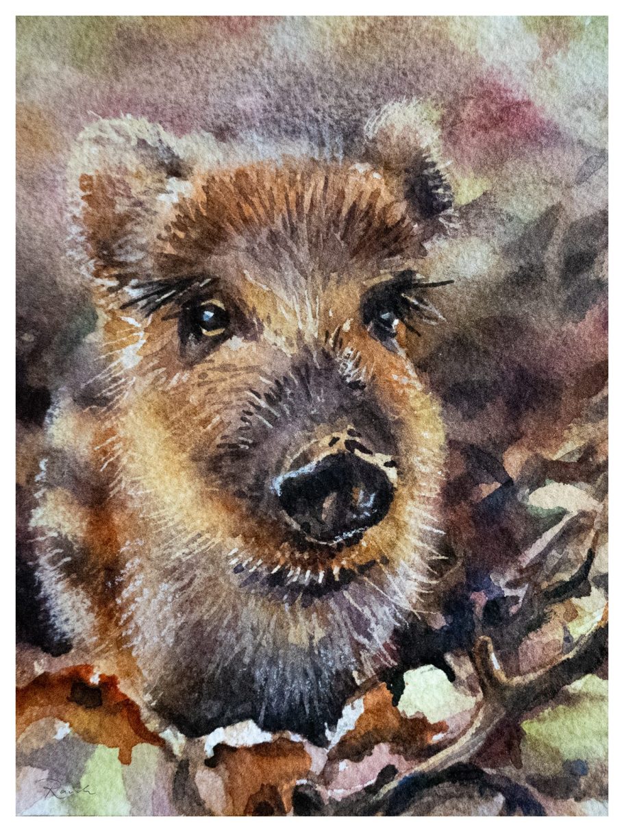 Aquarell 31x21cm